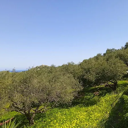 Saveriako, Paradise For Relaxed Free Spirits Agia Pelagia